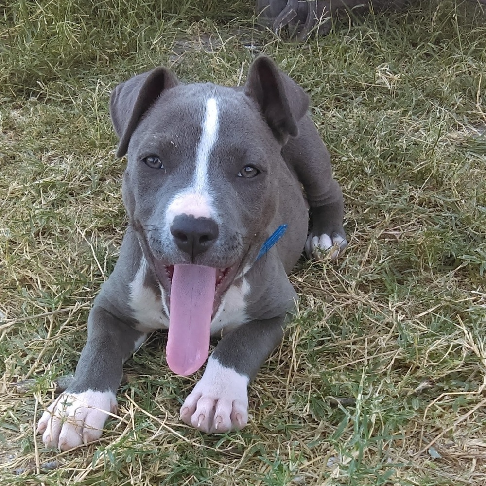 Meet your Posher, Mari j